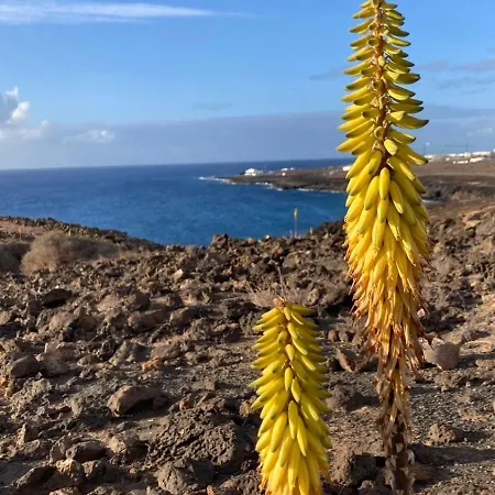 Pura Vida شقة كوستا تاغيسي
