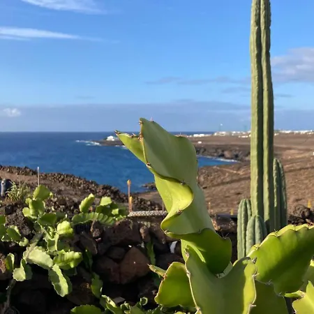 Pura Vida *